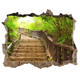 naklejka-okleina-3d-widok-schody-w-lesie-168x113