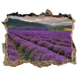 naklejka-fototapeta-3d-widok-pole-lawendy-168x113