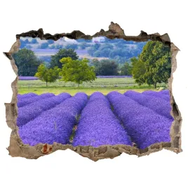 naklejka-fototapeta-3d-widok-pole-lawendy-168x113