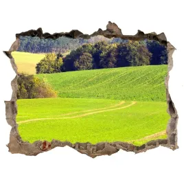 naklejka-fototapeta-3d-widok-polna-droga-168x113