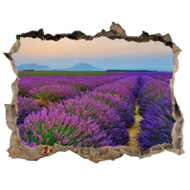 naklejka-fototapeta-3d-widok-pole-lawendy-168x113
