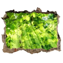 naklejka-fototapeta-3d-widok-liscie-buku-168x113