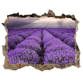 naklejka-fototapeta-3d-widok-pole-lawendy-168x113