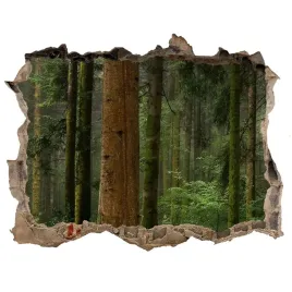 naklejka-fototapeta-3d-widok-mgla-w-lesie-168x113