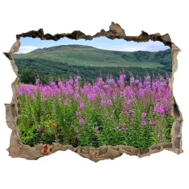 samoprzylepna-dziura-na-sciane-zielone-wzgorza