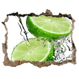 samoprzylepna-naklejka-limonki-i-woda-168x113