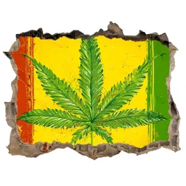 samoprzylepna-dziura-na-sciane-rasta-flaga-168x113