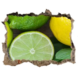 samoprzylepna-naklejka-limonka-i-cytryna-168x113