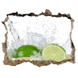 samoprzylepna-naklejka-limonki-i-woda-168x113