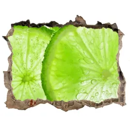 samoprzylepna-naklejka-limonki-pod-woda-168x113