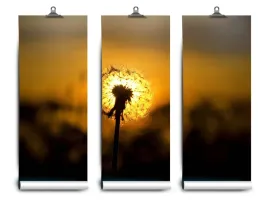 fototapeta-lateks-dmuchawiec-104x70-klej
