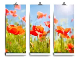 fototapeta-lateks-czerwony-maki-104x70-klej