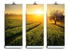 fototapeta-lateks-drzewo-wzgorze-104x70-klej