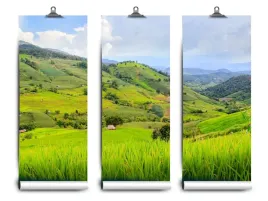 fototapeta-lateks-ryzowe-pole-104x70-klej