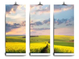 fototapeta-lateks-pola-kwitnace-104x70-klej