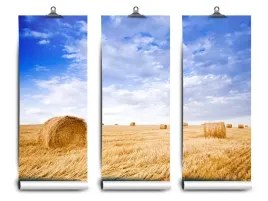 fototapeta-lateks-pole-zlote-104x70-klej