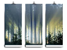fototapeta-lateks-swierkowy-las-104x70-klej