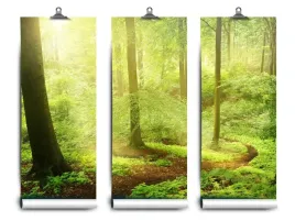 fototapeta-lateks-mglisty-las-104x70-klej