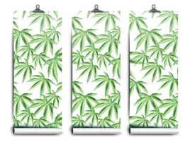 fototapeta-lateks-konopi-liscie-104x70-klej