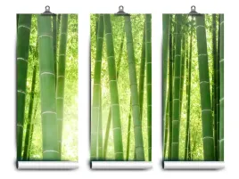 fototapeta-lateks-las-bambusowy-104x70-klej