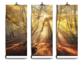 fototapeta-lateks-las-magiczny-104x70-klej