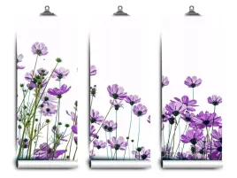 fototapeta-lateks-kosmos-kwiaty-104x70-klej