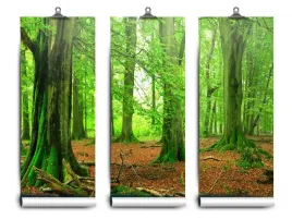 fototapeta-lateks-latex-las-buki-104x70-klej