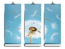 fototapeta-lateks-dmuchawiec-152x104-klej