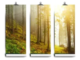 fototapeta-lateks-latex-las-104x70-klej