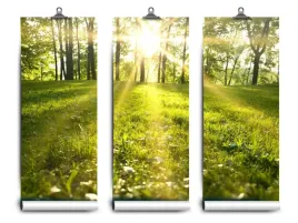 fototapeta-lateks-las-slonce-104x70-klej