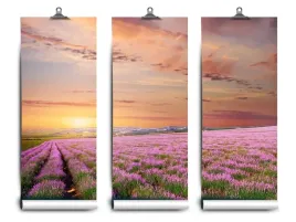 fototapeta-lateks-latex-pole-104x70-klej