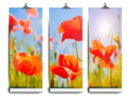 fototapeta-lateks-czerwony-maki-152x104-klej