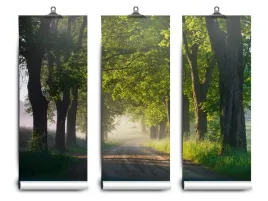 fototapeta-lateks-drzew-aleja-152x104-klej