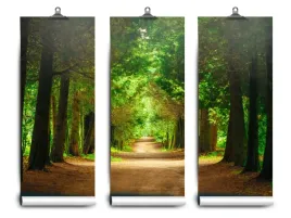 fototapeta-lateks-drzewa-sciezka-152x104-klej