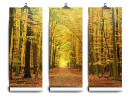 fototapeta-lateks-alejka-jesien-152x104-klej