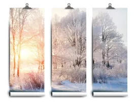 fototapeta-lateks-drzewa-zima-152x104-klej