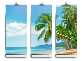 fototapeta-lateks-palmy-plaza-152x104-klej