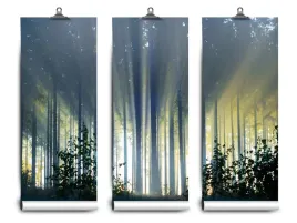fototapeta-lateks-swierkowy-las-152x104-klej