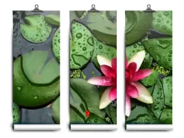 fototapeta-lateks-staw-lotos-152x104-klej