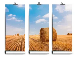 fototapeta-lateks-slomy-bele-152x104-klej