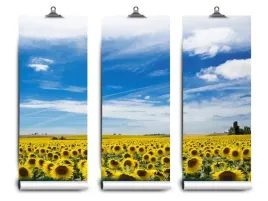 fototapeta-lateks-slonecznikow-pole-152x104