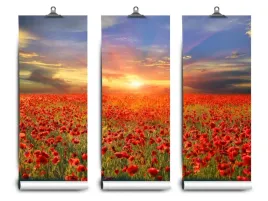 fototapeta-lateks-maki-pole-152x104-klej