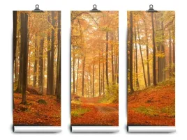 fototapeta-lateks-jesienia-las-152x104-klej