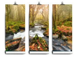fototapeta-lateks-las-rzeka-152x104-klej