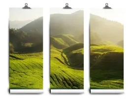 fototapeta-lateks-herbaty-plantacja-152x104