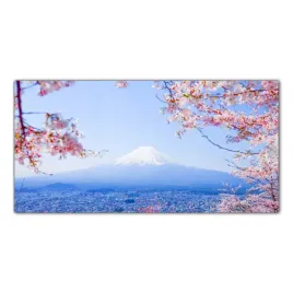 obraz-na-szkle-foto-japonia-wisnia-kwiaty-100x50