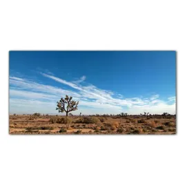 obraz-szklany-foto-obraz-pustynia-natura-100x50