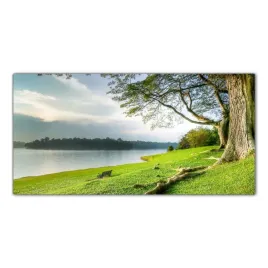 hartowany-obraz-szklany-laka-drzewa-natura-100x50