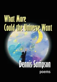 ksiazka-what-more-could-the-universe-want-autor-michael-singer-rozwoj