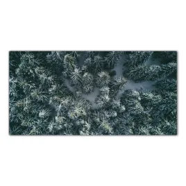 hartowany-obraz-szklany-gory-zima-las-snieg-100x50